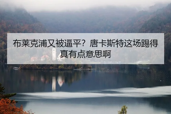 bu-lai-ke-pu-you-bei-bi-ping-tang-ka-si-te-zhe-chang-ti-de-zhen-you-dian-yi-si-a-2-955.jpg