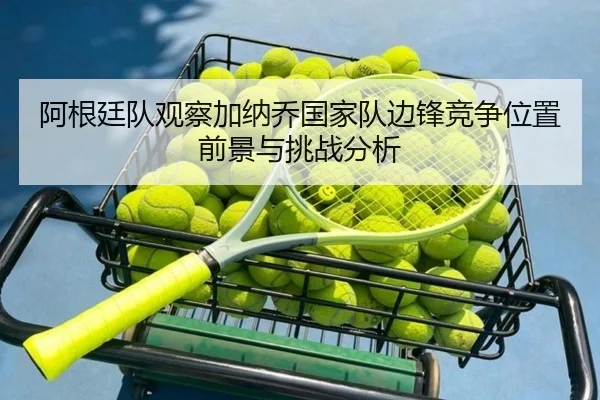 阿根廷队观察加纳乔国家队边锋竞争位置前景与挑战分析