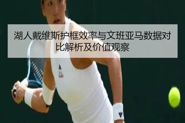 湖人戴维斯护框效率与文班亚马数据对比解析及价值观察