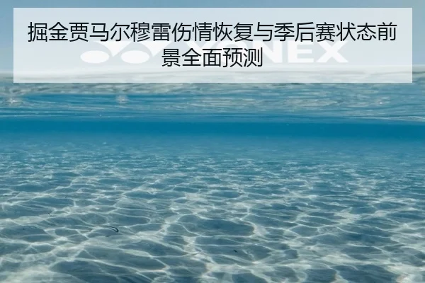 掘金贾马尔穆雷伤情恢复与季后赛状态前景全面预测