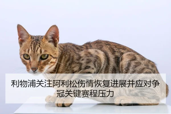 利物浦关注阿利松伤情恢复进展并应对争冠关键赛程压力
